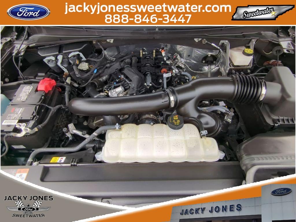 2024 Ford Expedition Timberline