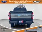 2024 Ford F-250 Platinum