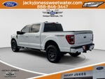 2023 Ford F-150 Tremor Luxury