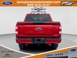 2023 Ford F-150 XL STX PACKAGE