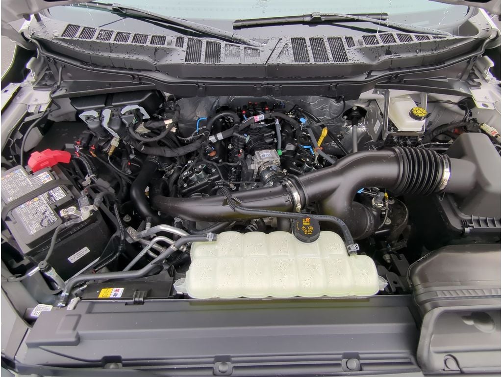 2026 Ford F-150 STX-UPCOMING DEMO