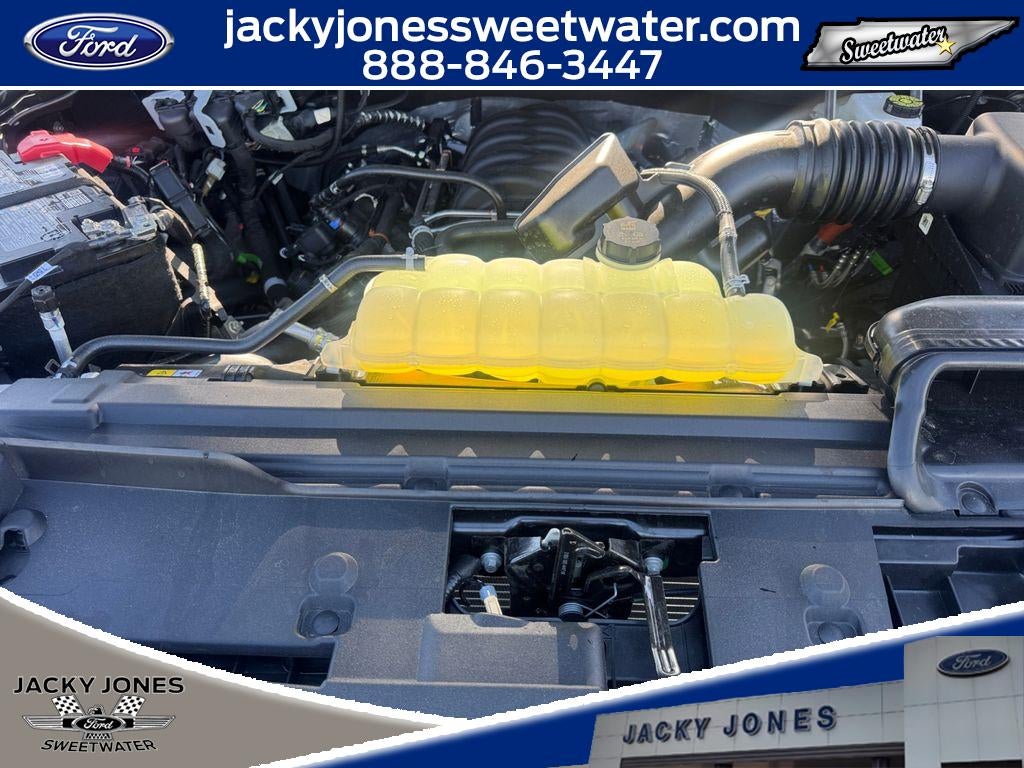 2026 Ford F-150 BLACK WIDOW SPIDER ED